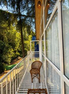 Treehouse by the lake - 4