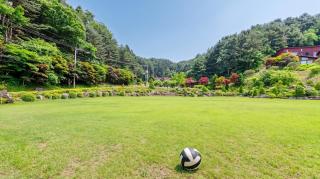Gapyeong Humantown Pension - 9