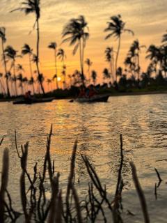 Kalpitiya Kayaks ride services - 4
