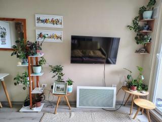 Departamento 2d1b en Villarrica - 6