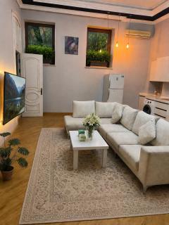 Premium Apartment Nizami Street - 8