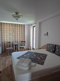 Vila "Livia" - 5