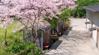 Gapyeong Funny Mongmong Galaxy House - 8