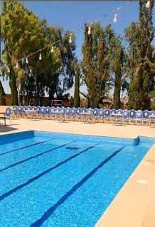 Al Amriya Palace for Luxury Events - 4