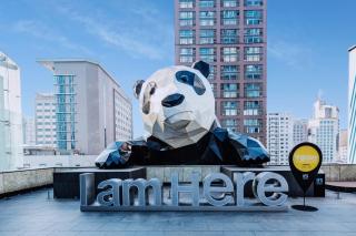 Niccolo Chengdu - 2