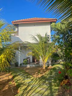 Whisky Point Surf Cabanas - 9