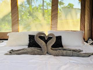 Luxary Tent - 1