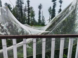 The Ahisthay Resort Fagu I Wooden Rooms with Private Balcony I Open Private Lawn I Open Bonfire I Kufri Shimla By Stayza Retreat - 5