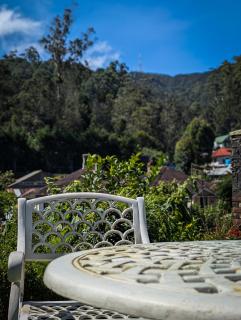 Royal Wattles - 1