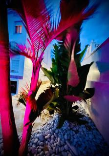 Casa Terranova beachhouse - 2