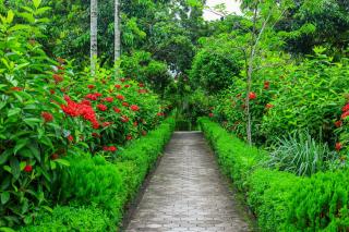 Batika Resort Sauraha - 1