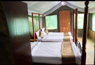 La Maison Mara - 3