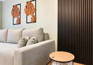 Apartament na Sowiej - Przylesie - 1