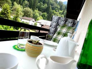 Hofwiese - Hohenschwangau - 7