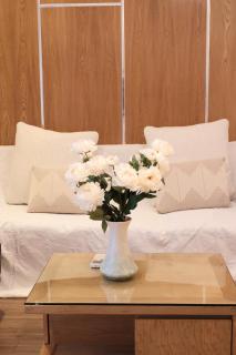 Thanh Tùng homstay time city - 0
