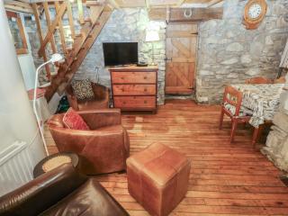 Penfeidr Newydd - 6