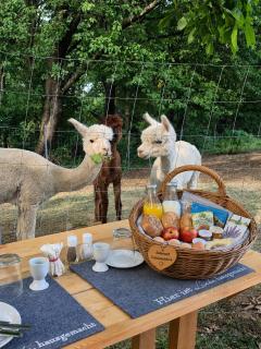 Tinyhouse Alpakas Ruhe&Natur Lavendelnest Südburgenland- Frühstück zubuchbar - 8