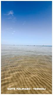 Suite Tulipano - Termoli - 0