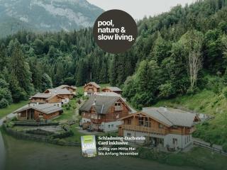 Luxury Chalets Gradenbach near Schladming - 0