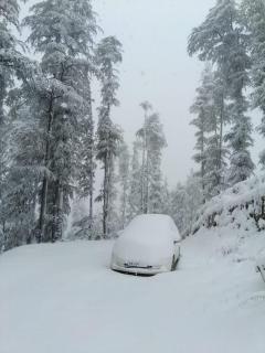 Norwin Resort by Stayza Retreat - 6