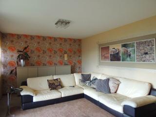 Holiday Home in Pescia with Private Pool - 2