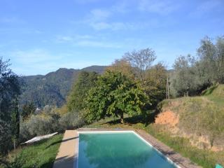 Holiday Home in Pescia with Private Pool - 6