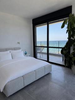 Levy Apartments - 1