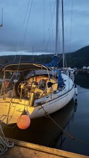 Amelia - 6