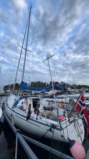 Amelia - 5