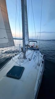 Amelia - 3