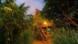 Birdsong eco cabana - 0
