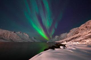 Northern Lights Retreat in Ersfjordbotn Tromsø - 0