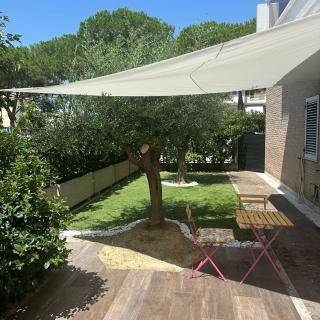 Mare e Tulipani - 0