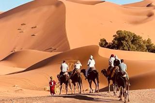 Overnight Luxury Desert Camp - 2