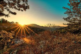 Hillside Cabin Cozy 2BHK BY 8MH Kasauli- Dharampur - 8