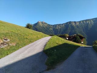 Schmittenappartement 1 und 2 - 2