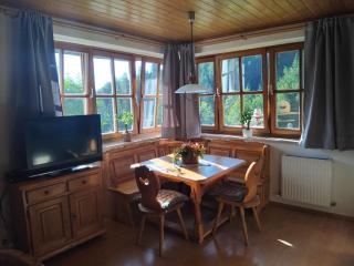 Schmittenappartement 1 und 2 - 1