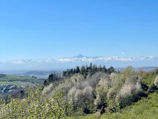 Restored Rustic Retreat in the Langhe - 3