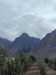 Aatithiya Himalayan Homestay Sumnam - 4