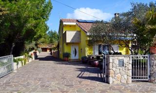 Yellow Villa - Ugljan - 0