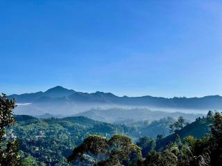 The Sunrise Eyrie Ella - 8