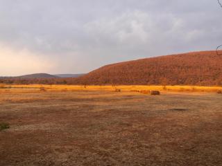 Lindani Game and Lodges - 6