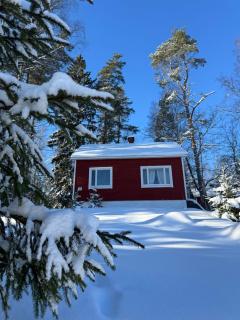 Peaceful Forest cabin with Sauna - 0