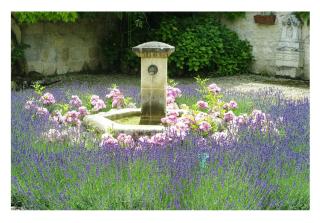 La Chapelle Aux Roses - 7