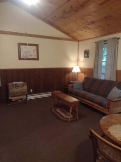 Thunder Ridge Cabins B&B - Otter Lodge - 5