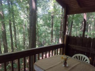 Thunder Ridge Cabins B&B - Otter Lodge - 1