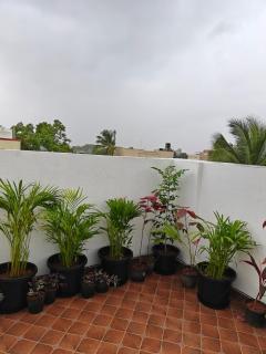 Private Terrace Garden 1BHK with a Lush Green View - 7