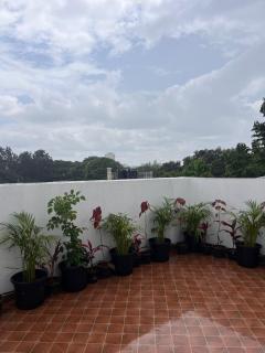 Private Terrace Garden 1BHK with a Lush Green View - 4