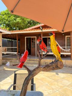 Casa Coração de Amaro - 8