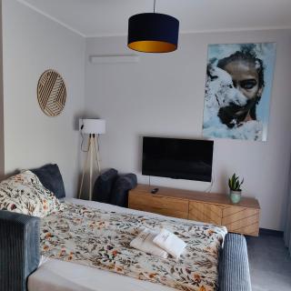 Apartament 10 A - OpolskieNoclegi - 6